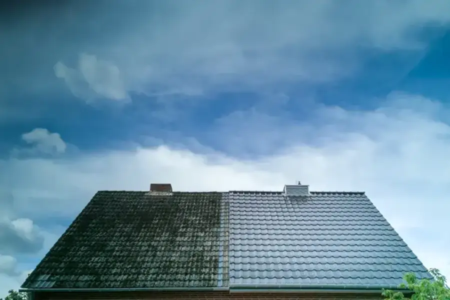 Affordable Exterior House Cleaning in Victoria, TX