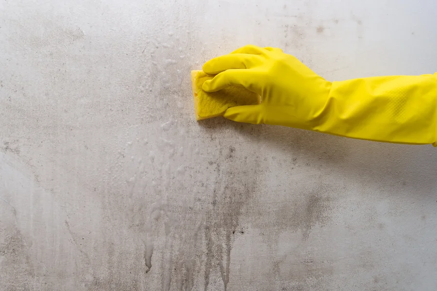 How Pressure Washing Helps Prevent Mold on Walls in Victoria, TX
